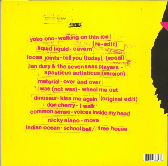 Back cover — SEAN P / DAVE LEE / VARIOUS — Disco Not Disco: Leftfield Disco Classics From The New York Underground (25th Anniversary Edition)