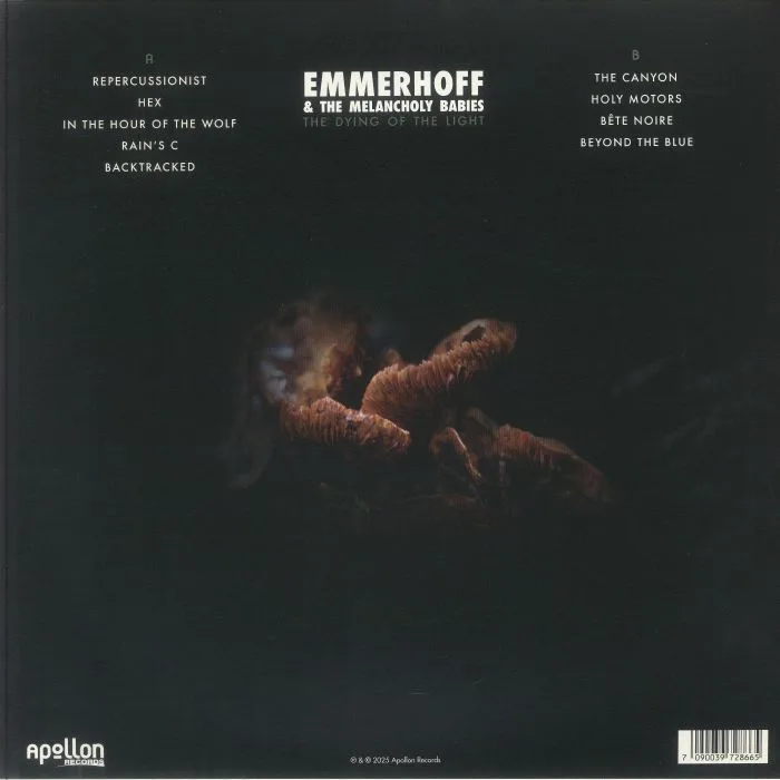 Обратная сторона обложки — EMMERHOFF & THE MELANCHOLY BABIES — The Dying Of The Light
