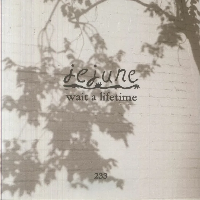 Back cover — JEJUNE — Wait A Lifetime