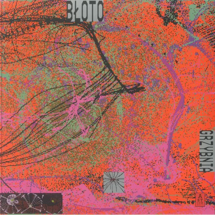 BLOTO — Grzybnia
