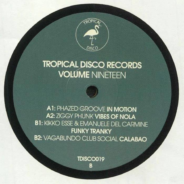 Обратная сторона обложки — PHAZED GROOVE / ZIGGY PHUNK / KIKKO ESSE / EMANUELE DEL CARMINE / VAGABUNDO CLUB SOCIAL — Tropical Disco Records Vol 19