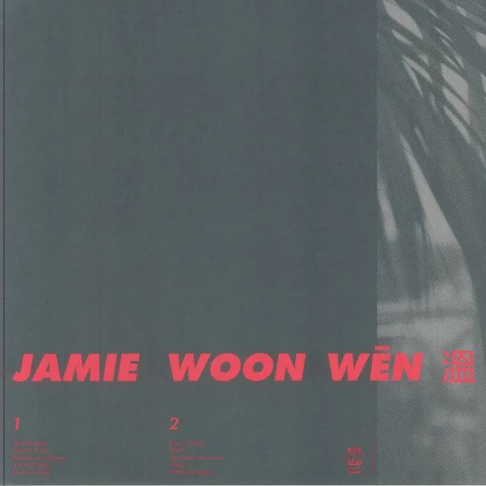 Обратная сторона обложки — Jamie WOON — 3 10 Why When