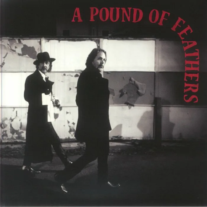 The BLACK CROWES — A Pound Of Feathers