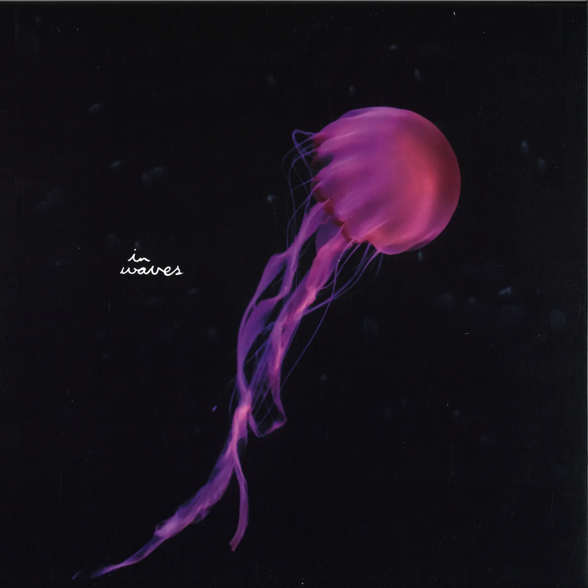 Front cover — Flowers On Monday — Horizons