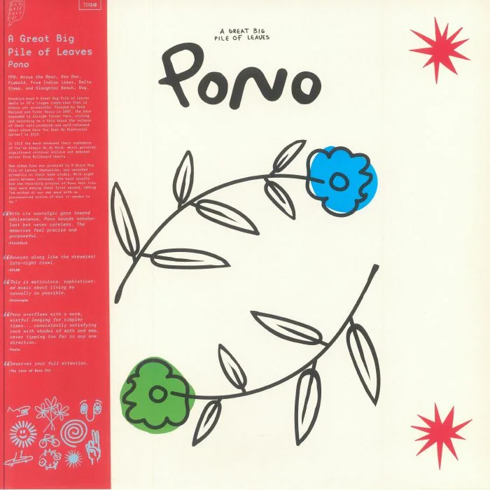 A GREAT BIG PILE OF LEAVES — Pono