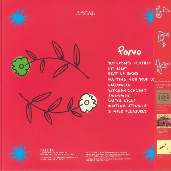 Обратная сторона обложки — A GREAT BIG PILE OF LEAVES — Pono