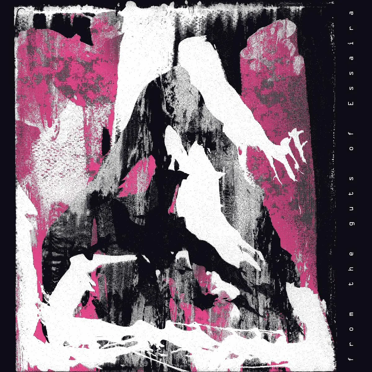 Front cover — ESSAIRA — FROM THE GUTS OF ESSAIRA LP