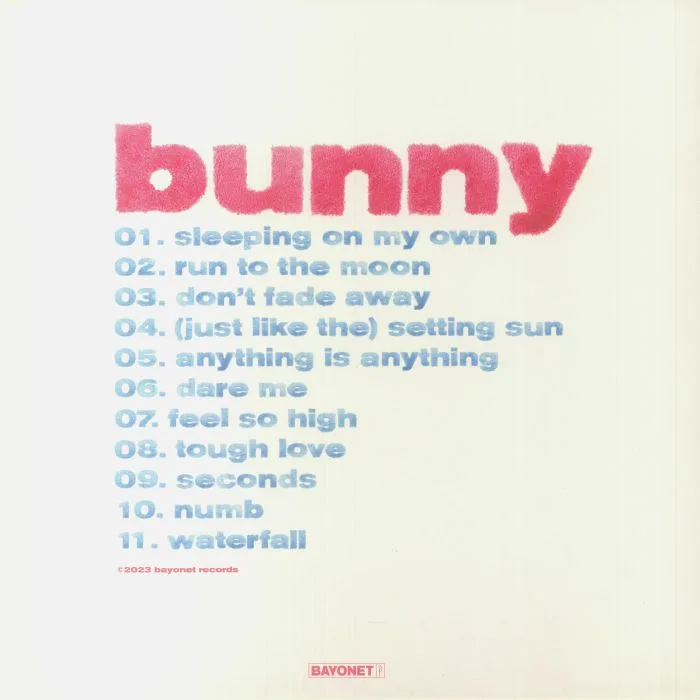 Обратная сторона обложки — BEACH FOSSILS — Bunny