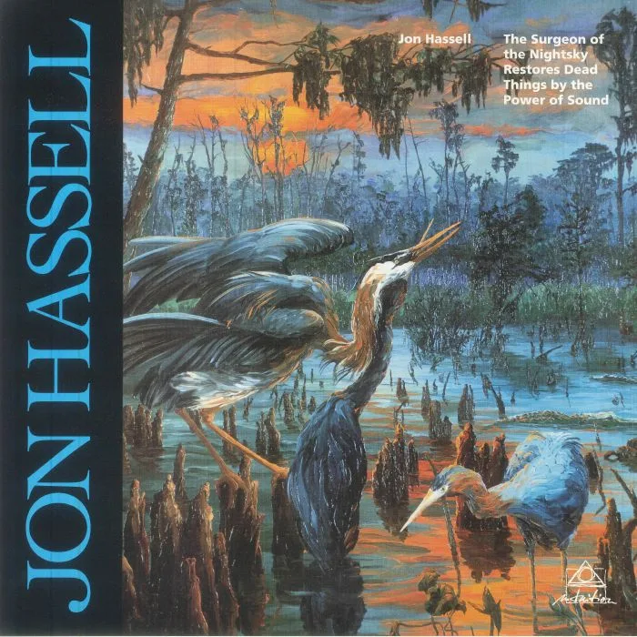 Front cover — Jon HASSELL — The Surgeon Of The Nightsky Restored Dead Things By The Power Of Sound