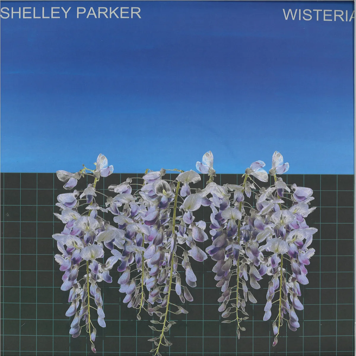 Shelley Parker — Wisteria LP (2x12")