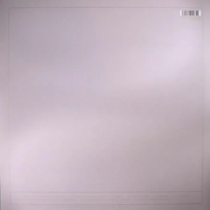 Back cover — ALDOUS HARDING — Party