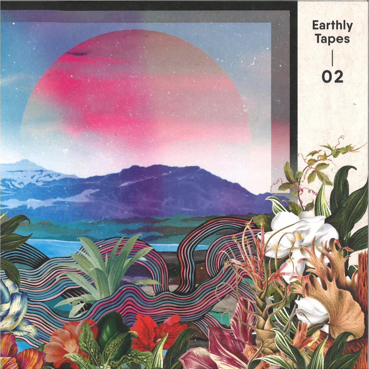 Various — Earthly Tapes 02