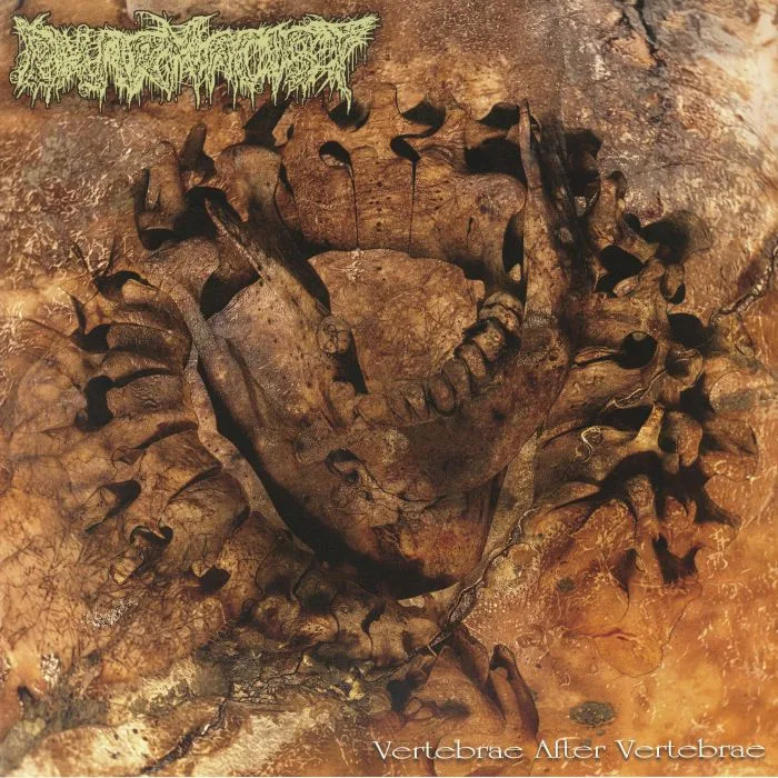 PHARMACIST — Vertebrae After Vertebrae