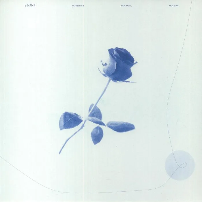 Y BULBUL / YUMURTA — Not One Not Two