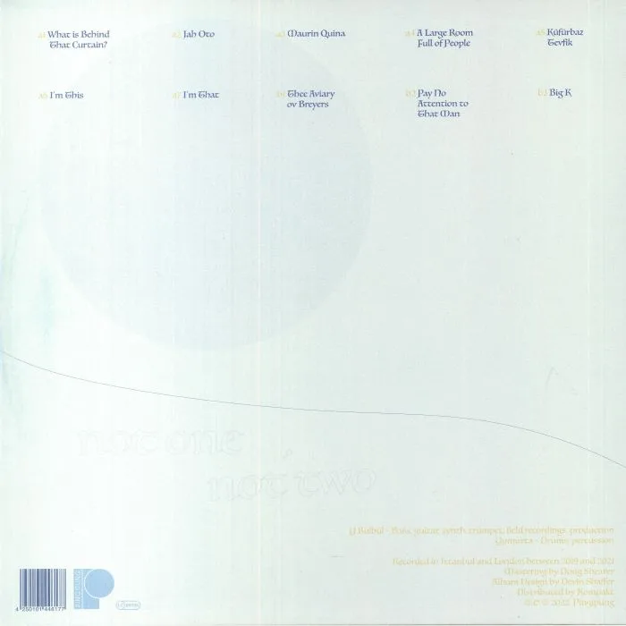 Back cover — Y BULBUL / YUMURTA — Not One Not Two