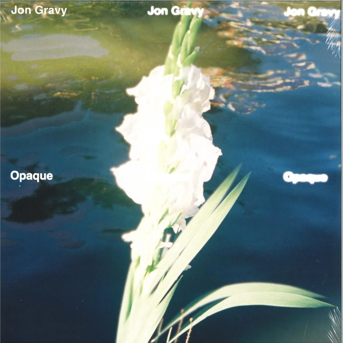 Лицевая сторона обложки — JON GRAVY — OPAQUE LP