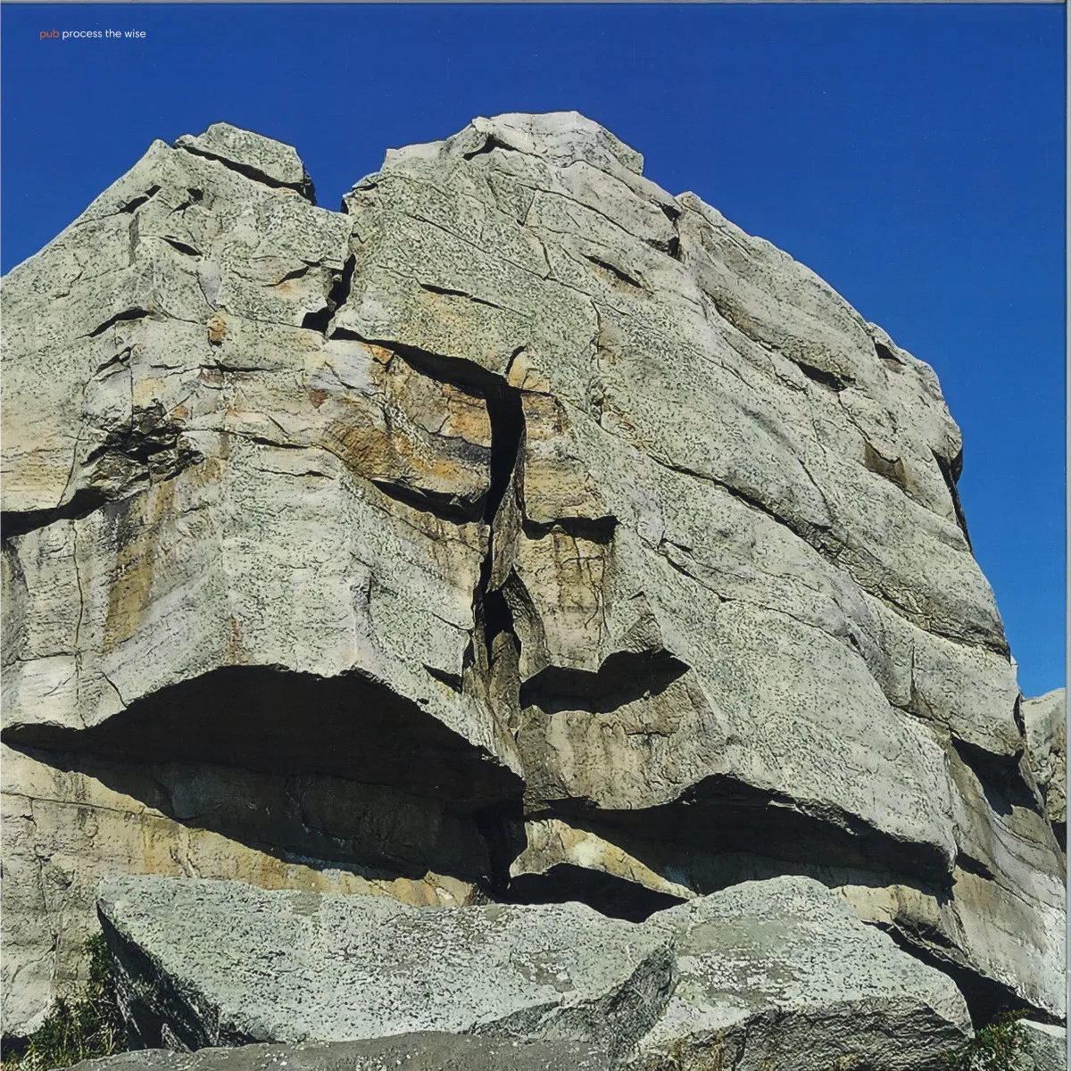 Pub — Process The Wise LP