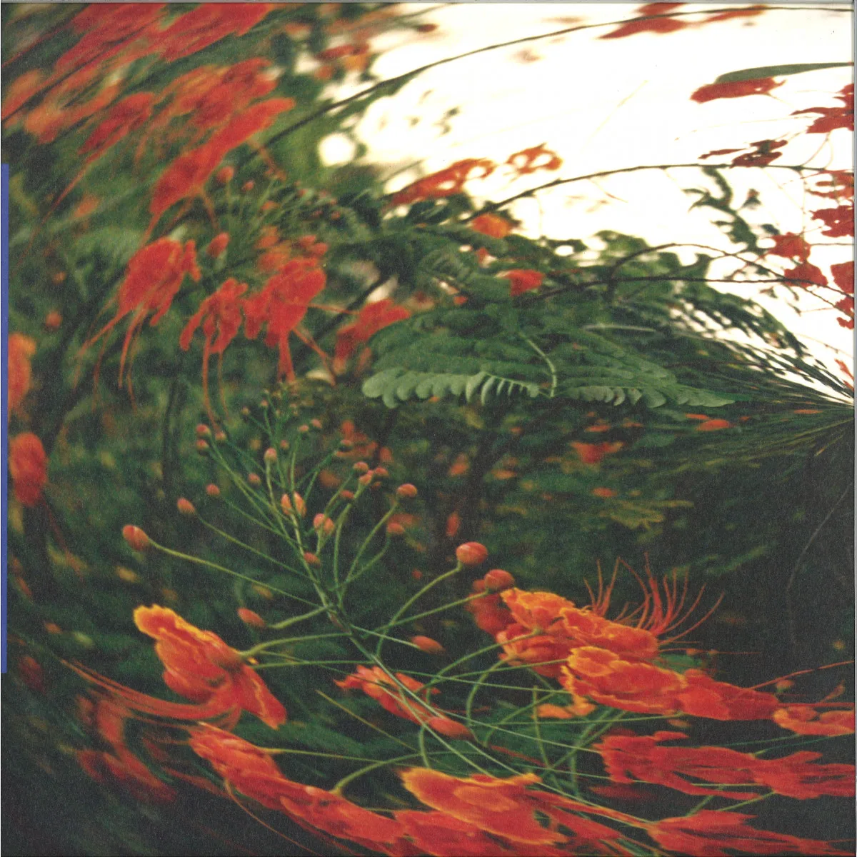 Anthony Naples — Chameleon LP