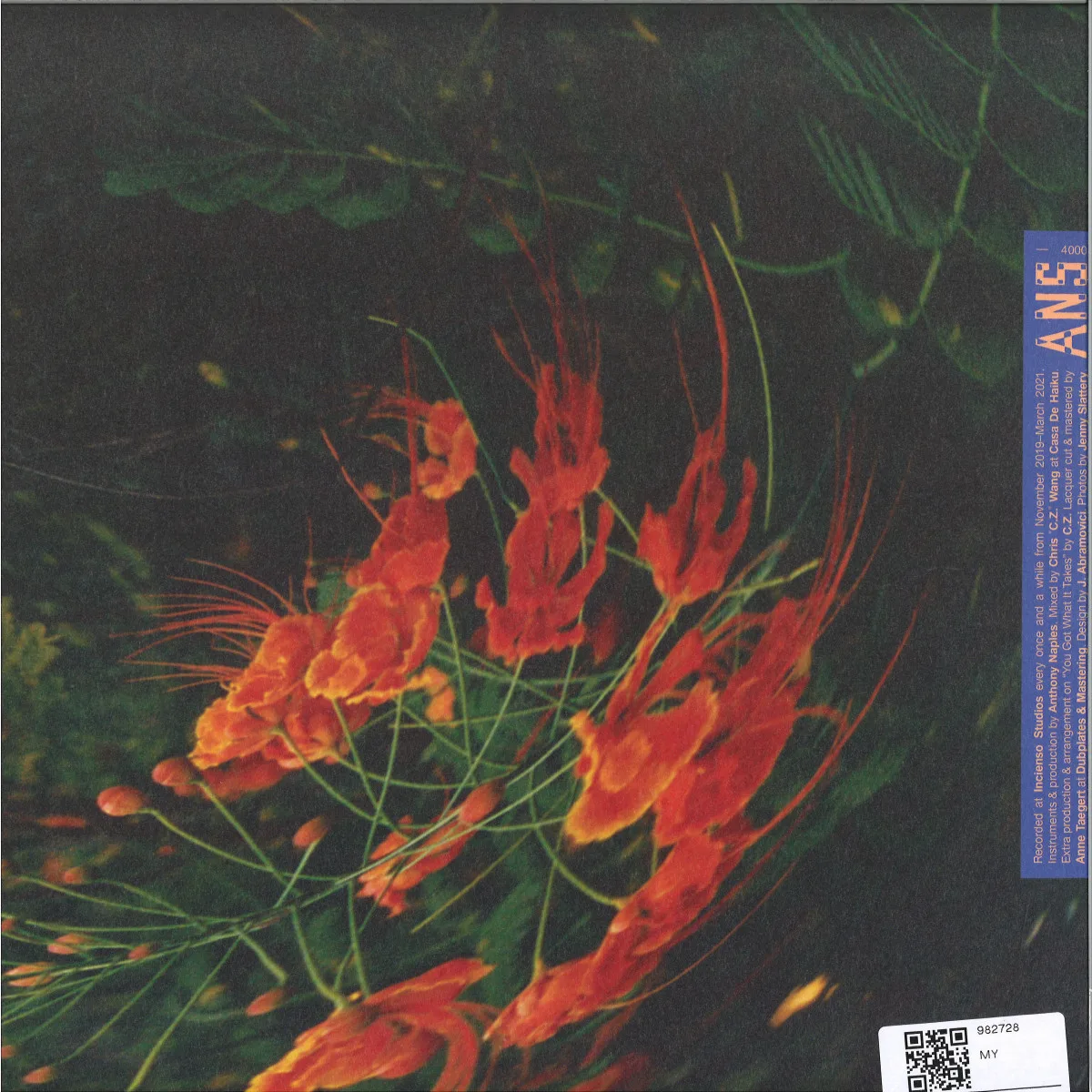 Обратная сторона обложки — Anthony Naples — Chameleon LP
