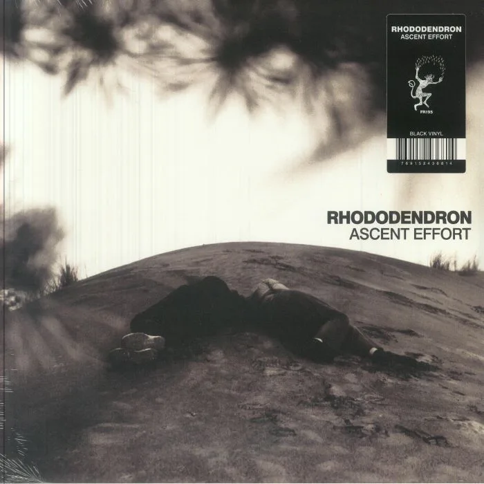 RHODODENDRON — Ascent Effort