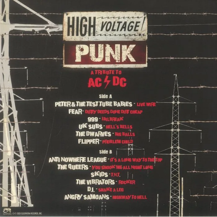 Back cover — VARIOUS — High Voltage Punk: A Tribute To AC / DC