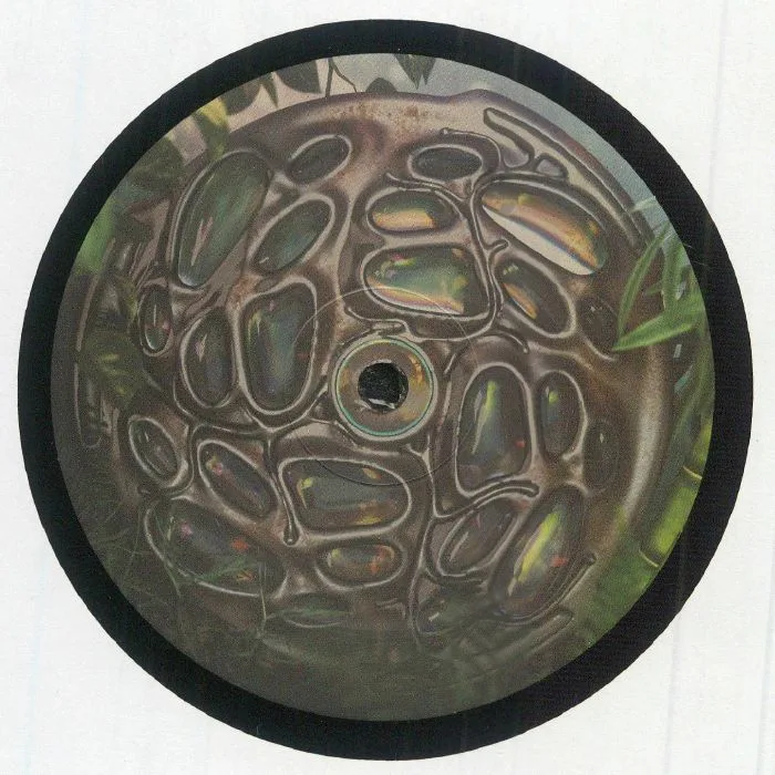 Back cover — SHJVA — The Message EP