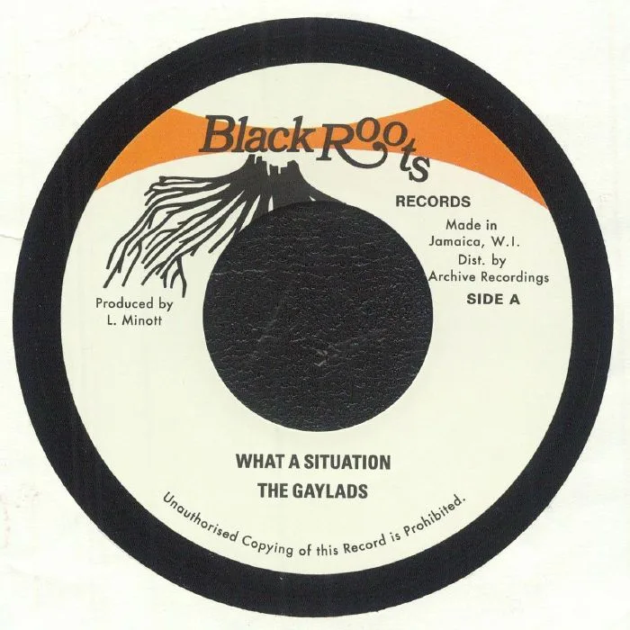 The GAYLADS / BLACK ROOTS PLAYERS — What A Situation