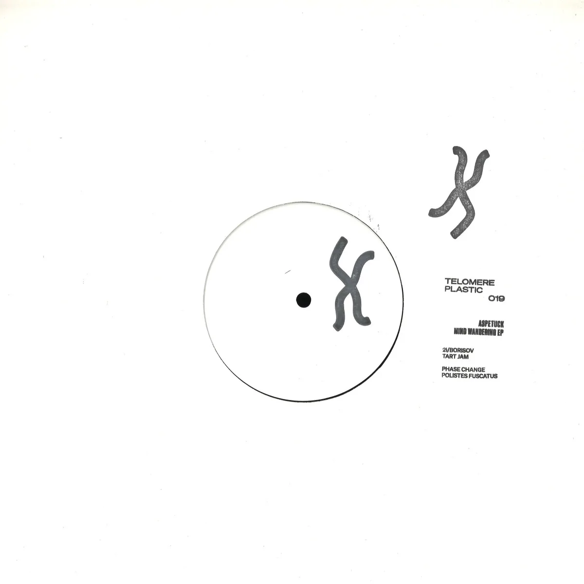 Back cover — Aspetuck — Mind Wandering EP