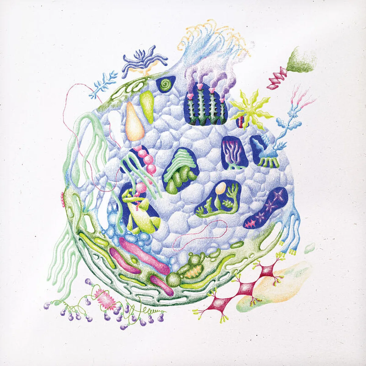 David Edren — Binnenin