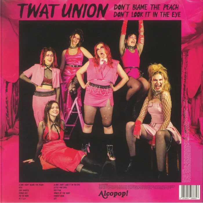 Обратная сторона обложки — TWAT UNION — Don't Blame The Peach