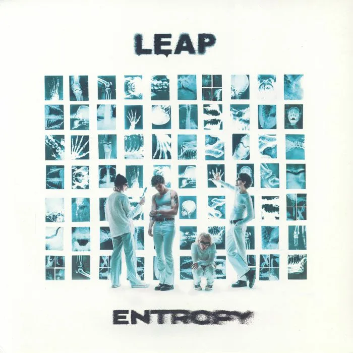 LEAP — Entropy