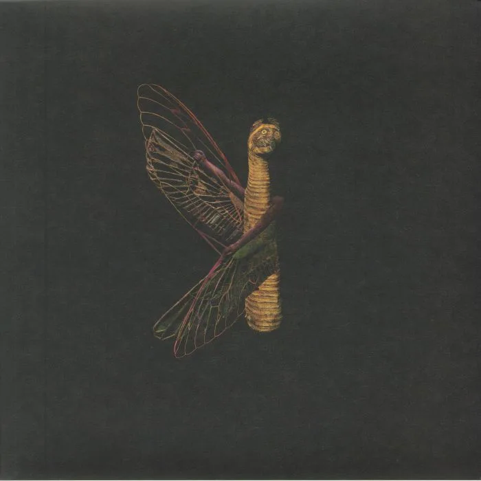 Maurice LOUCA — The Luck Hour