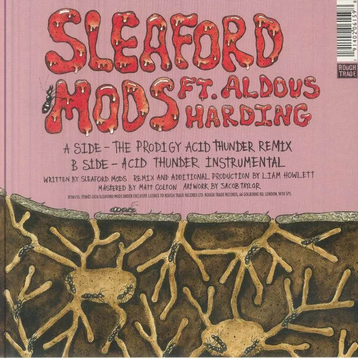 Обратная сторона обложки — SLEAFORD MODS — Elitest GOAT (The Prodigy Acid Thunder Mix)