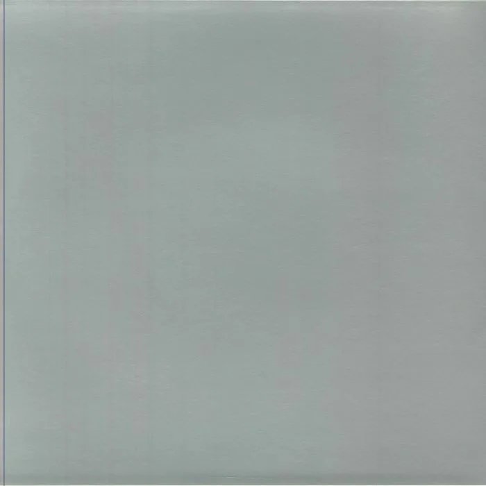 Back cover — GS RUESSLER — Fool Or Genious