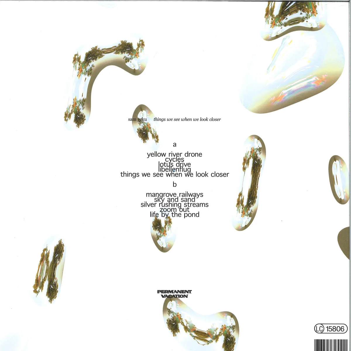 Back cover — Sam Goku — The Things We See When We Look Closer LP