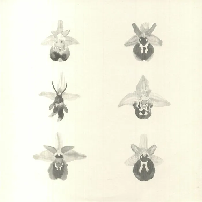 MARASCHINO / MOREAATS / CCO / ETHIMM / LEXX — Uncommon Species II