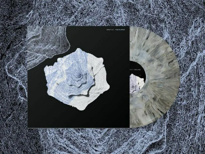 Лицевая сторона обложки — Fabio ANILE — Minutiae (B-STOCK)