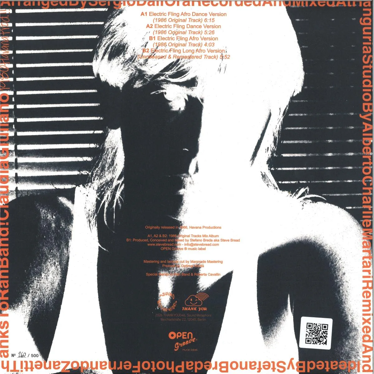 Back cover — Stefano Breda — Electric Fling