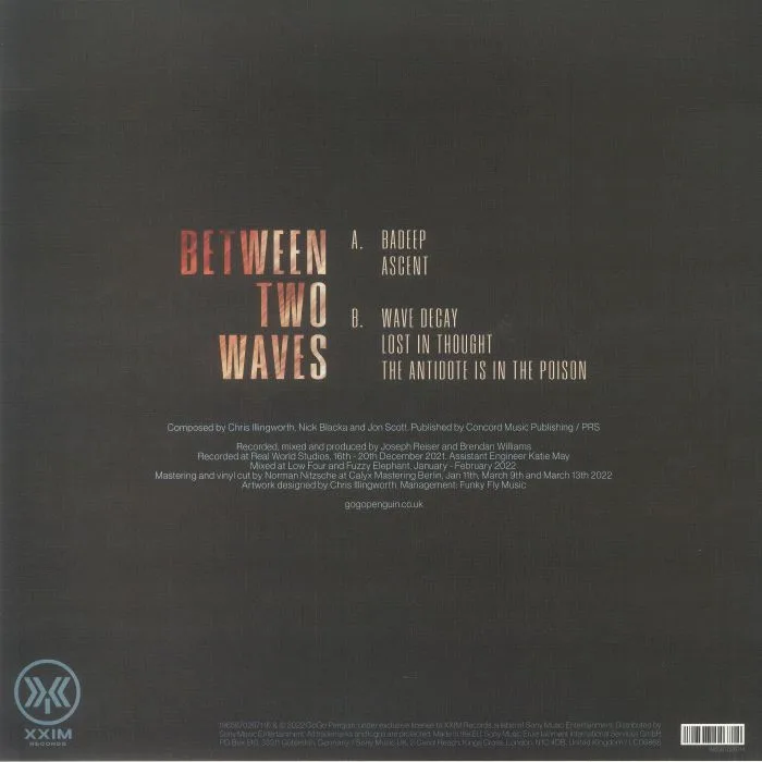 Обратная сторона обложки — GOGO PENGUIN — Between Two Waves