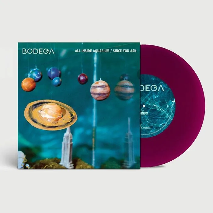 BODEGA — All Inside Aquarium
