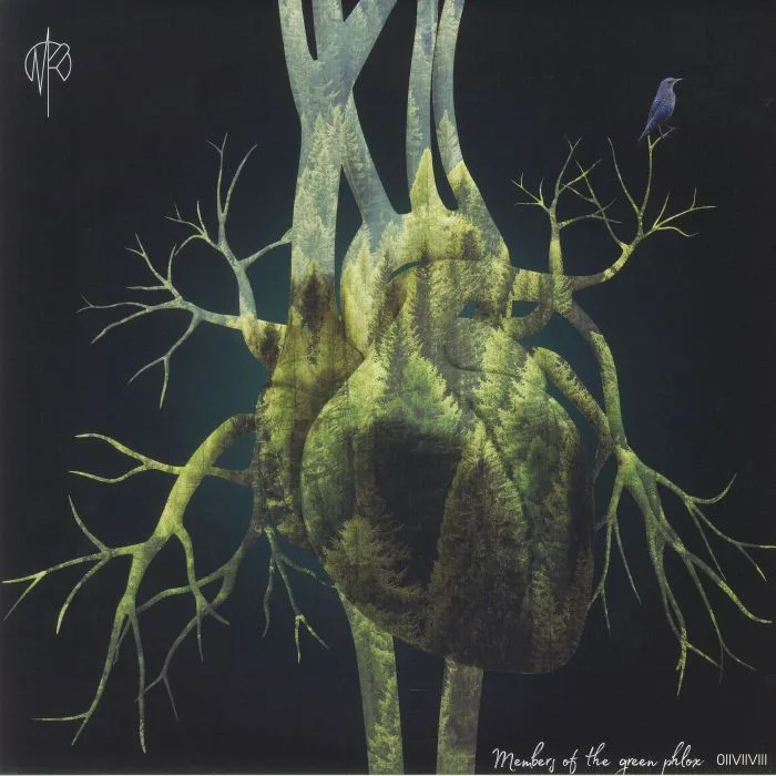 Martin RUBASHOV — Members Of The Green Phlox