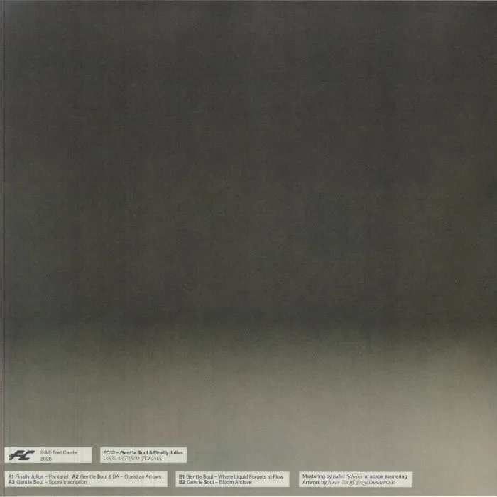 Обратная сторона обложки — GENT1E SOUL / FINALLY JULIUS — Unearthed Forms