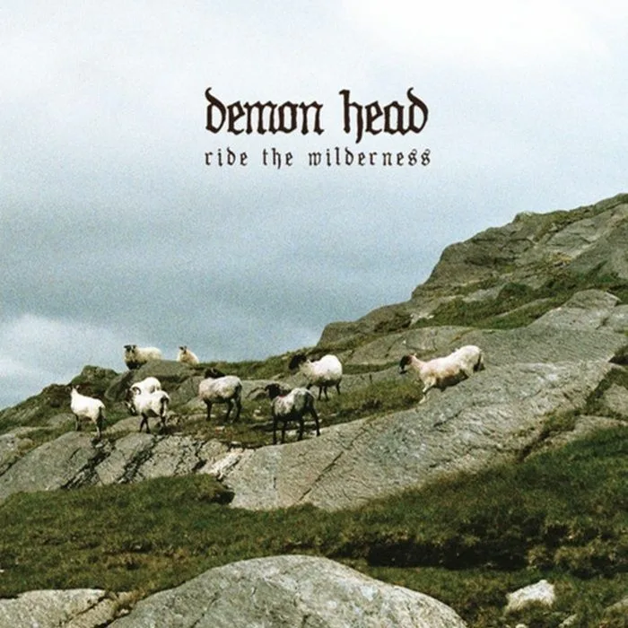 Лицевая сторона обложки — DEMON HEAD — Ride The Wilderness
