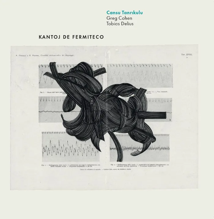 Cansu TANRIKUL — Kantoj De Fermiteco