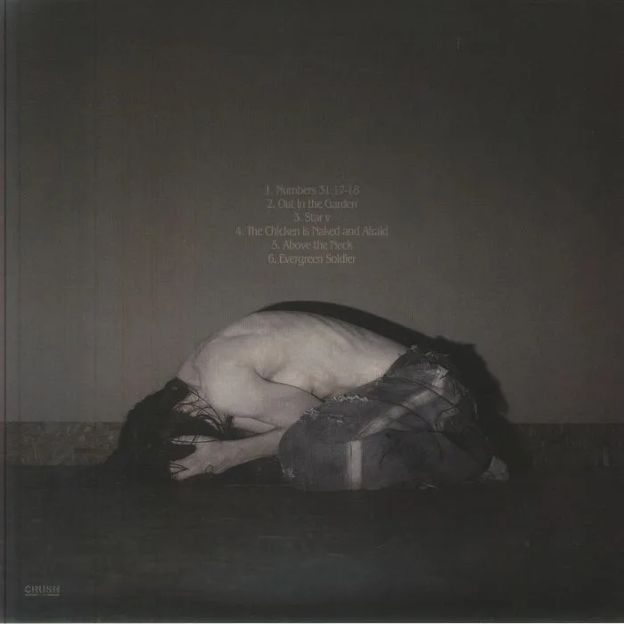 Back cover — Sofia ISELLA — Something Is A Shell