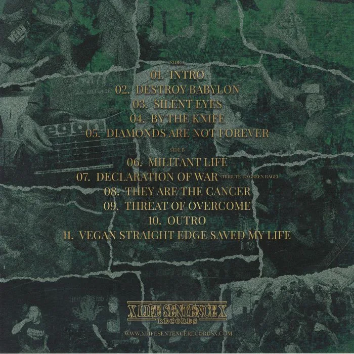 Back cover — DESTROY BABYLON — By The Knife (reissue)