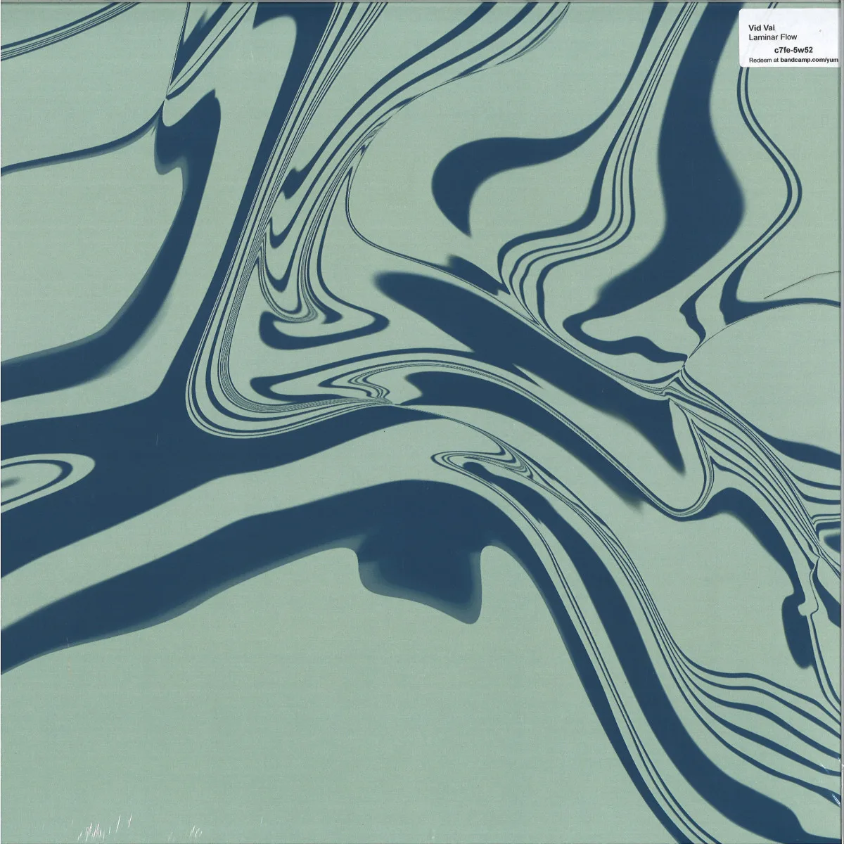 Vid Vai — Laminar Flow LP (2x12")