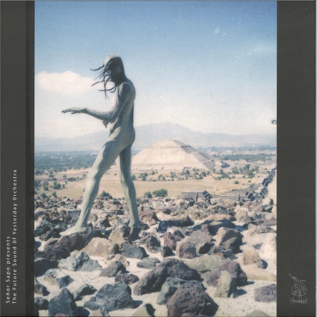 Senor Sapo — The Future Sound Of Yesterday Orchestra