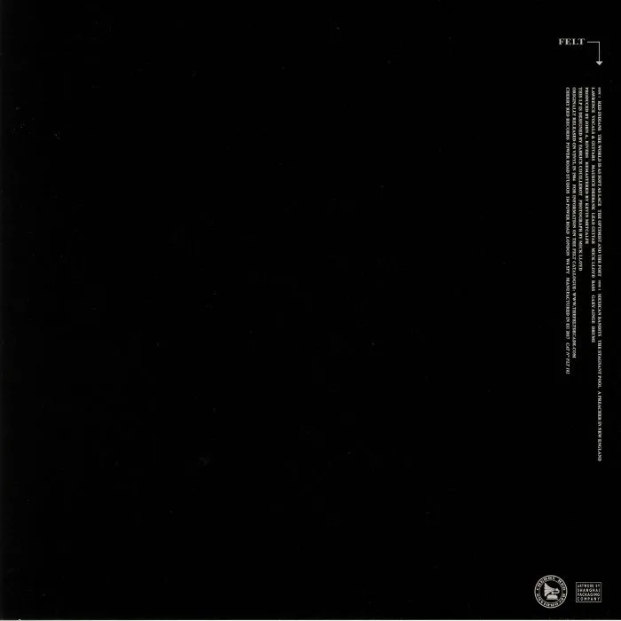 Back cover — FELT — The Splendour Of Fear: Deluxe Edition (remastered)