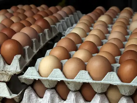 Обещают дешевые яйца из стабфонда